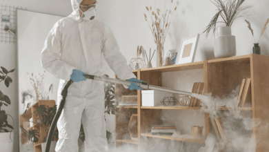 pest-control-myths-debunked:-what-actually-works-to-keep-infestations-away