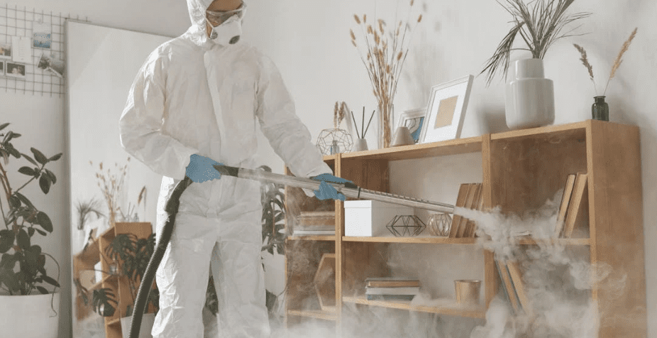 pest-control-myths-debunked:-what-actually-works-to-keep-infestations-away